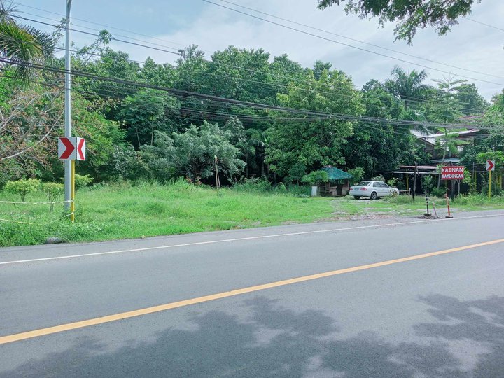 9,586 sqm Commercial Property For Sale with house and restaurant, along hiway to Baler