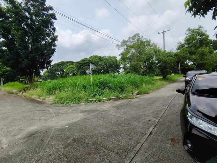 201 sqm Residential Lot For Sale in southpointCabuyao Laguna