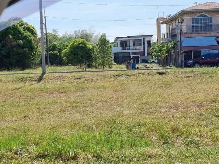 300 sqm Residential Lot For Sale in palace athena classic Imus Cavite