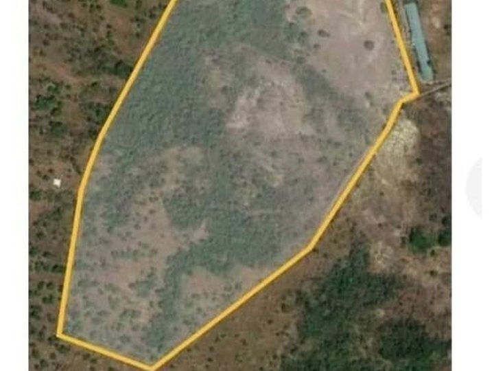 Farm land with 200 Mango fruit trees loc 2.30kms away from the highway