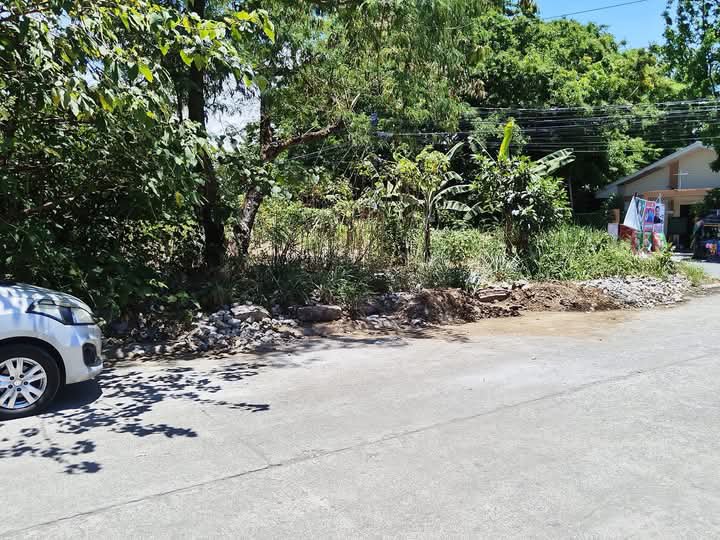 320 sqm Residential Farm For Sale in Calamba hills Laguna