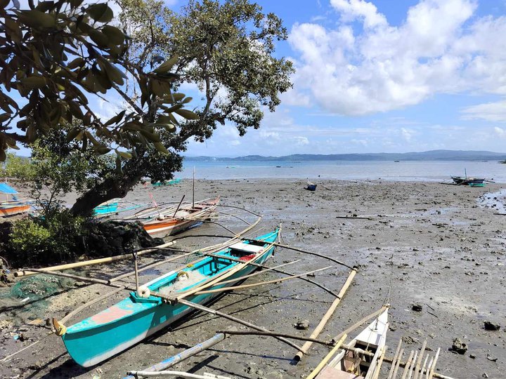 3.83 hectares Farm Lot For Sale in Gumaca Quezon