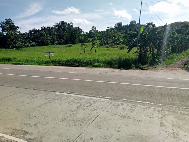 Commercial lot for sale main road sta. Ana Estancia Iloilo for more details pls pm or contact us #