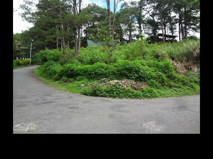 Commercial/ residential lot for sale