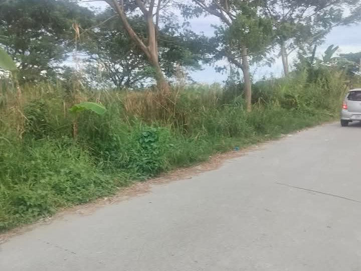 246 sqm Residential Lot For Sale in San Fernando Pampanga