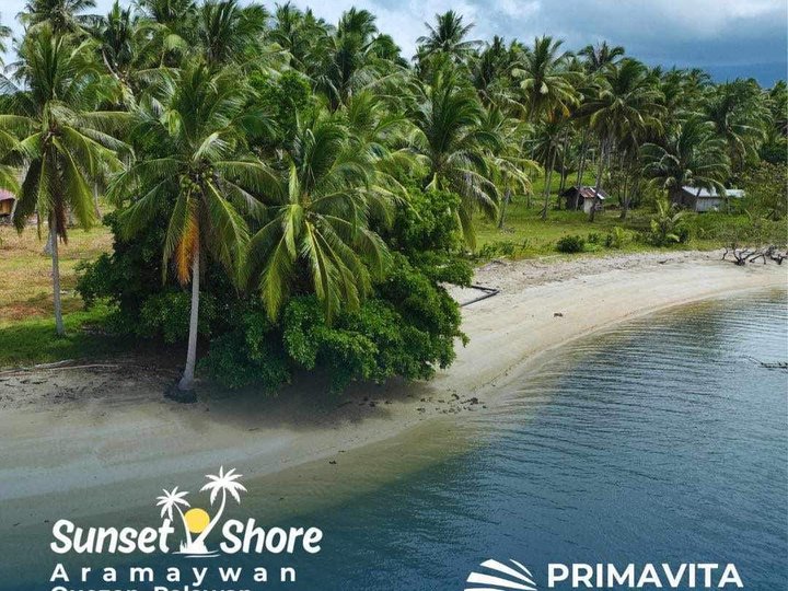 650 sqm Prime Beach Front Lots For Sale in Quezon Palawan