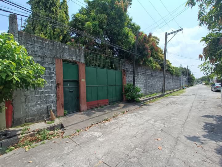 1200 sqm Residential Lot For Sale in San Fernando Pampanga