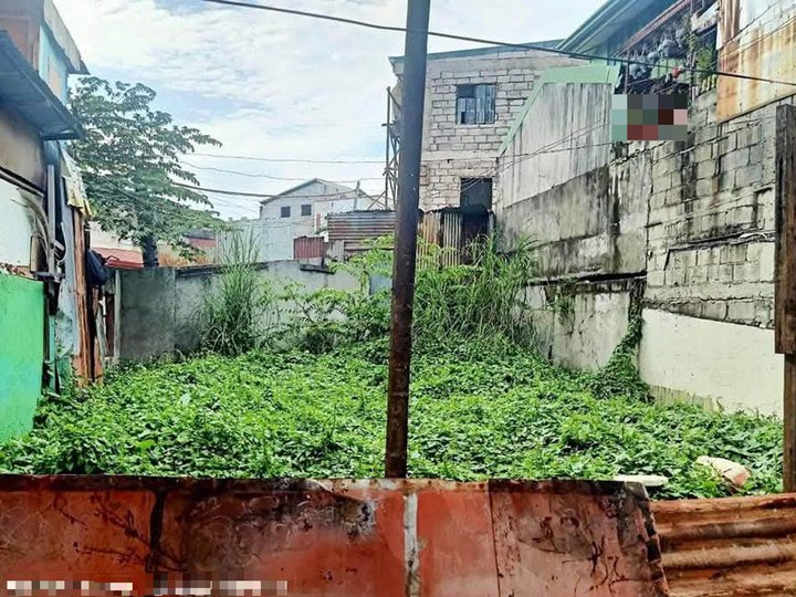 75sqm Residential Lot For Sale in Taguig City