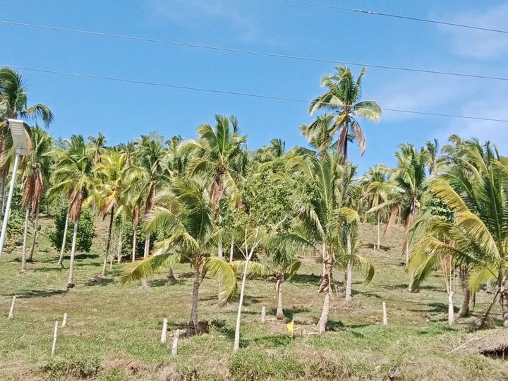 Along National Highway good for business, residential or resort