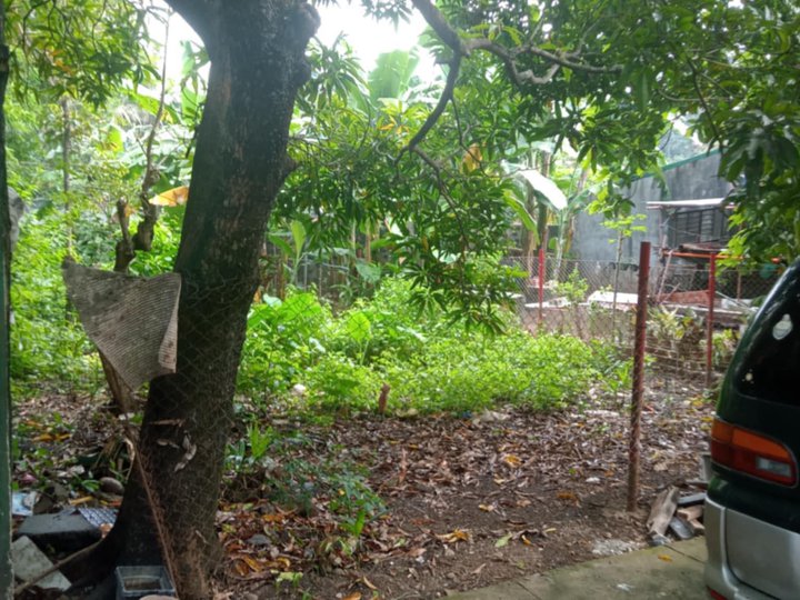 120 sqm Residential Lot For Sale in Antipolo Rizal