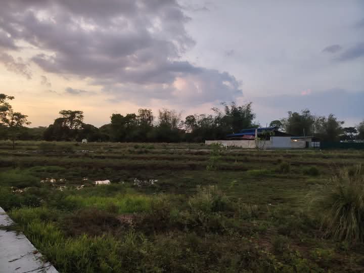 2,000 sqm Residential Farm For Sale in Santa Maria Bulacan