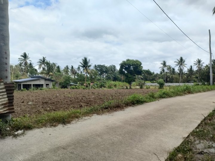 1,000 sqm Residential Farm For Sale in Alfonso Cavite