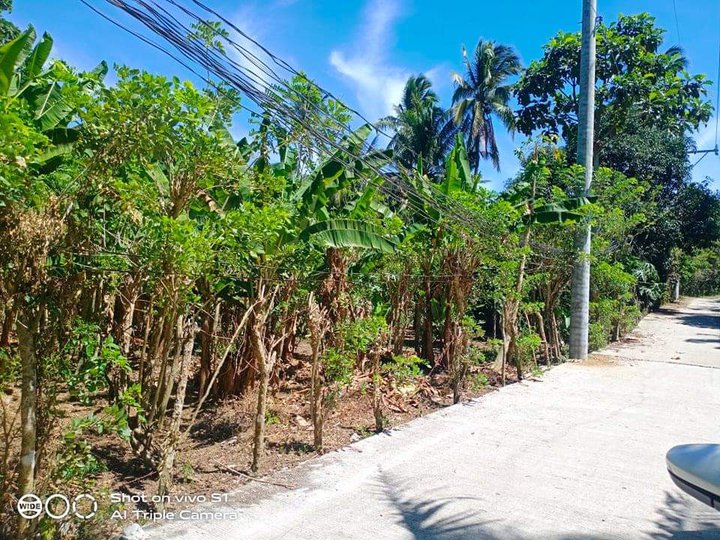 2726 sqm Agricultural Farm for sale in Alfonso Cavite