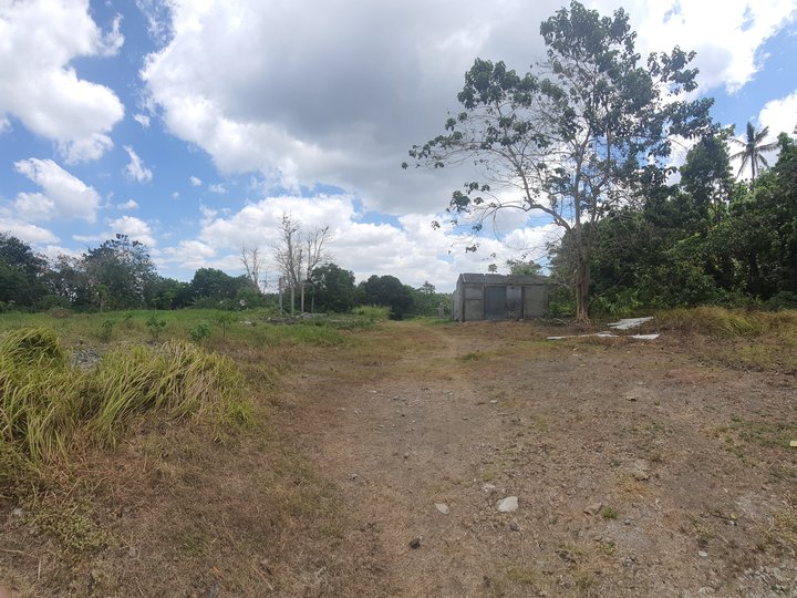 9.44 hectares Residential Farm For Sale in Mataasnakahoy Batangas