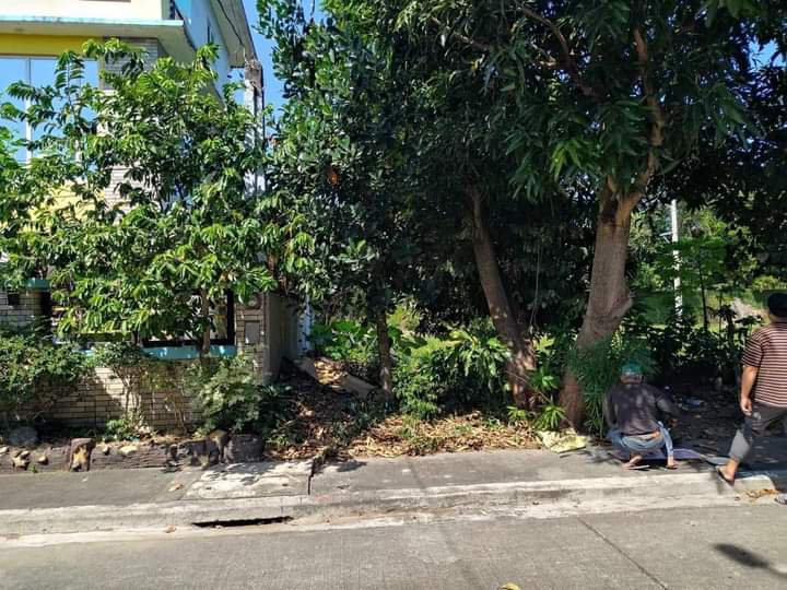 Commercial Space industrial lot For Sale in Cabuyao Laguna