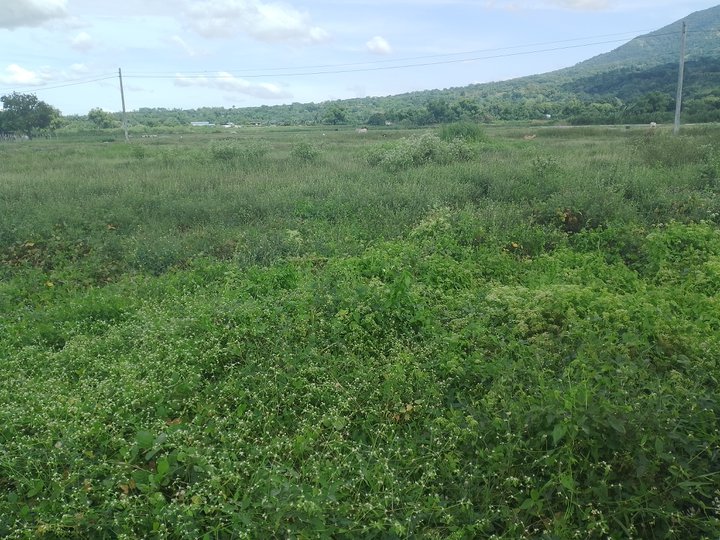 200 sqm lot for sale in Baliti Arayat Pampanga