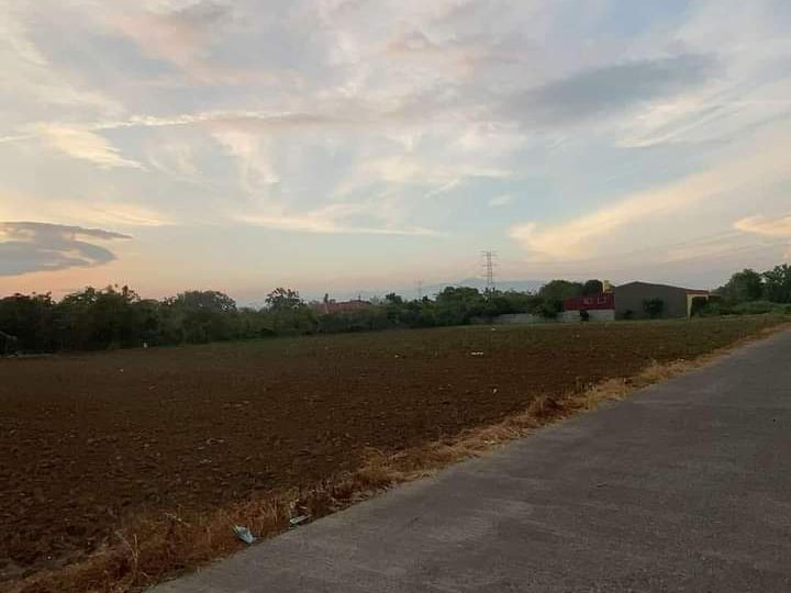 6,000 sqm Residential Farm For Sale in Tanauan Batangas