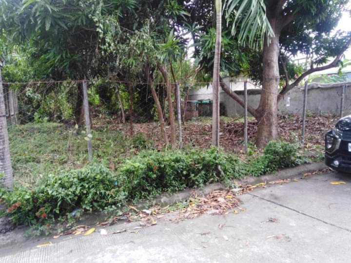 180 sqm residential lot molino 2 bacoor