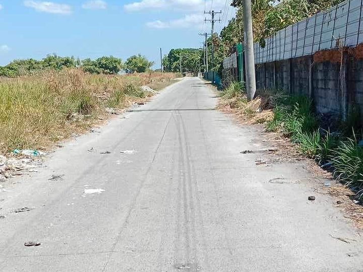 265 sqm Residential Lot For Sale calulut san fernando