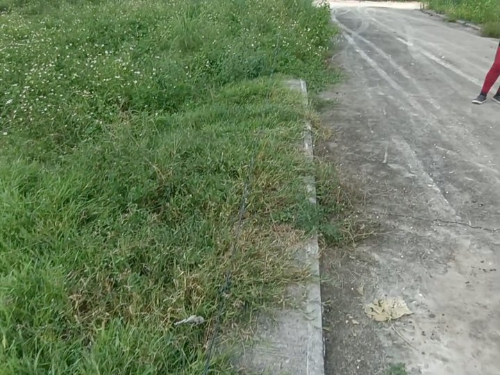 Lot only located at consolacion Cebu 10-15 mins distance to SM CONSOLACION