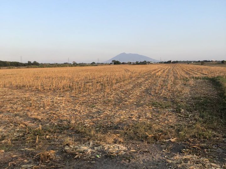 3.9 hectares Agricultural Farm for sale in Concepcion Tarlac