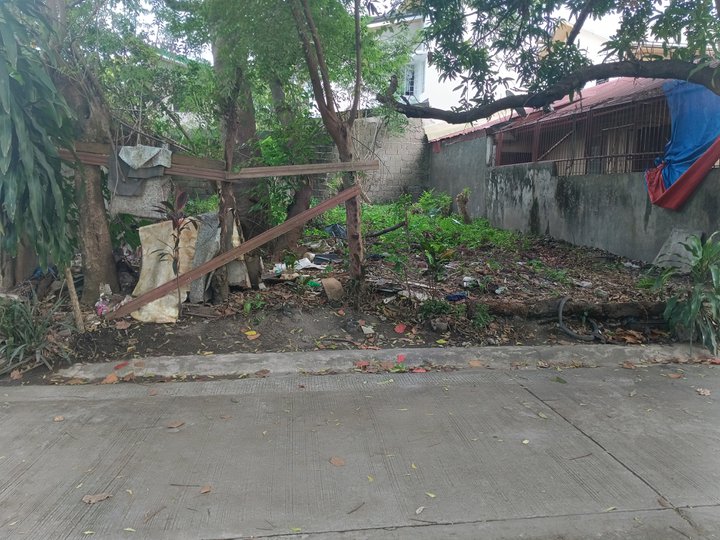 144 sqm Residential Lot for Sale in Town and Country Subdv Brgy Sto tomas Binan Laguna