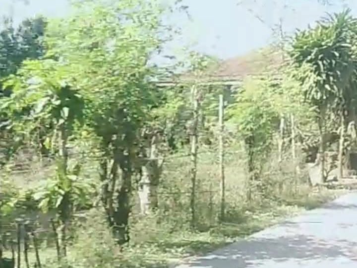 1,000 sqm Residential Farm For Sale in Capas Tarlac