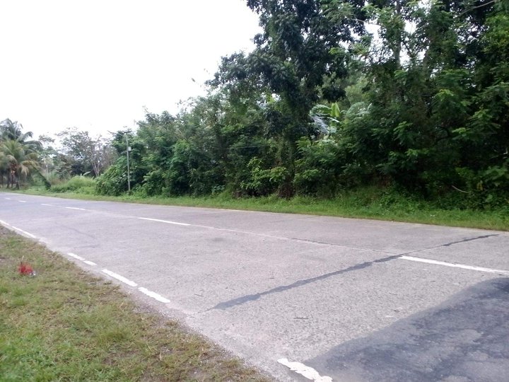 44 130 sqm Vacant Lot in Taft, Tapaz  Capiz