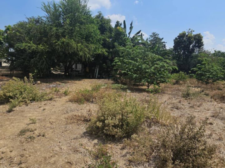 929 sqm Residential Farm For Sale in Arayat Pampanga