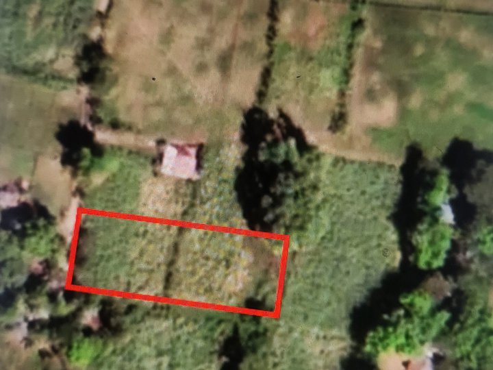 Rush sale of 3,256 sq m Titled lot under my name and ready for transfer.