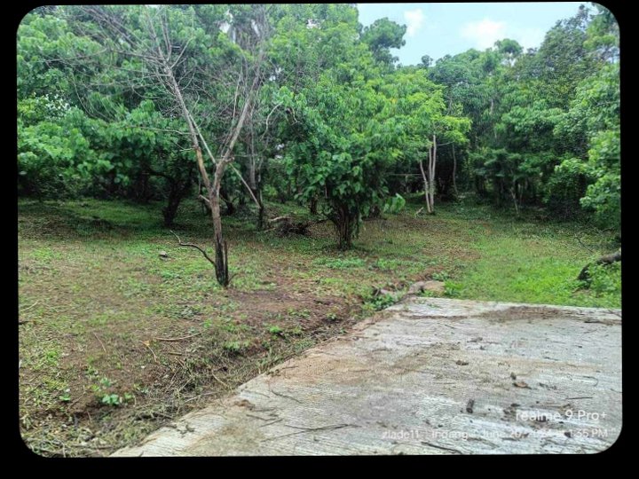 Pre-Owned 1,000 sqm Residential Farm For Sale in Indang Cavite