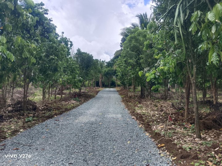 500 sqm per cut.cash or installment residential farm for sale in indang cavite