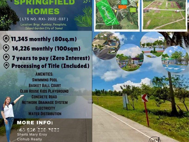 Residential Lot in Samal with Amenities