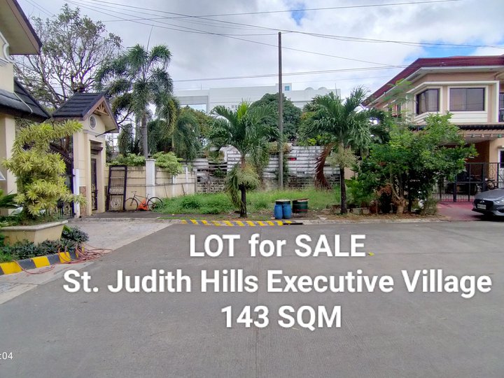 Residential/Commercial LOT for SALE in St. Judith Hills Executive Village Antipolo City