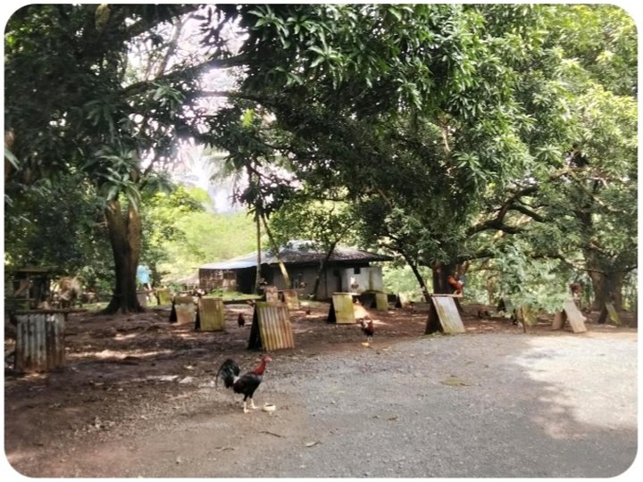 Farm land with vacation house [Lots 🚜] (June 2025) in Tanay, Rizal for sale
