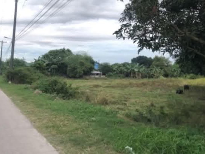 1,000 sqm Residential Lot For Sale in Floridablanca Pampanga