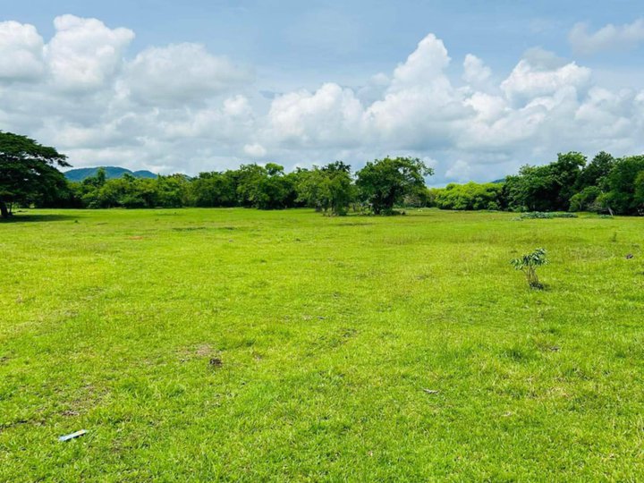 Farmlot for  Lot for Sale in San Juan ( CMBS )