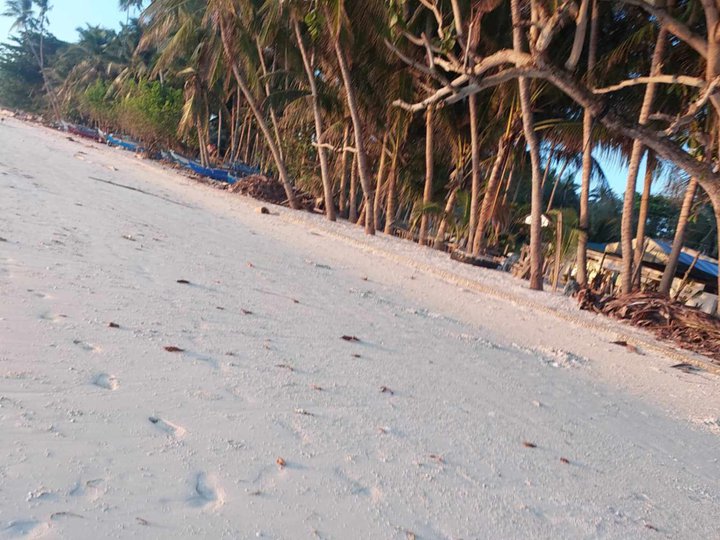 Beach Lot for Sale in San Juan, Siquijor