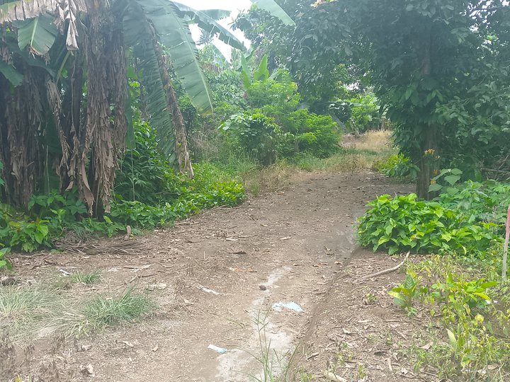 2 hectares Residential Farm for sale in Silang Cavite