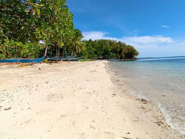 Beach front white sand,2 hectares, open for portion selling.