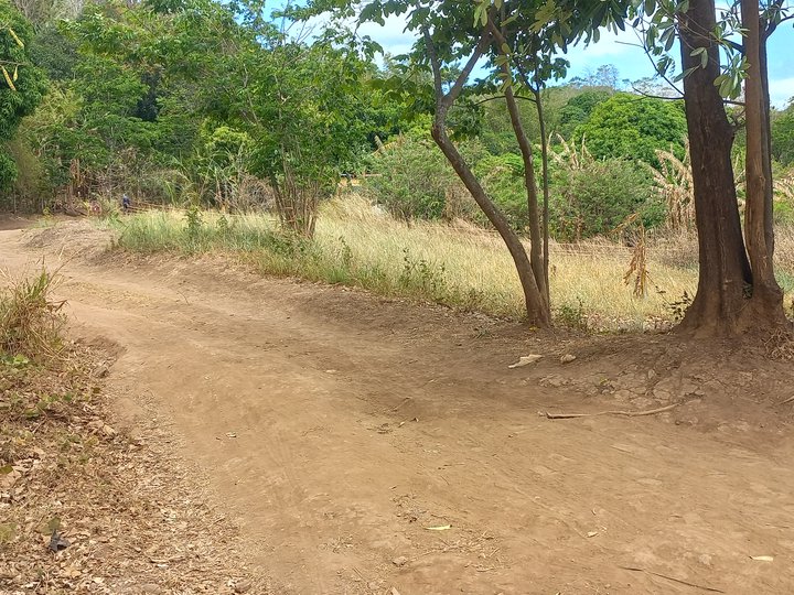 11has raw land for sale in Baras, Rizal