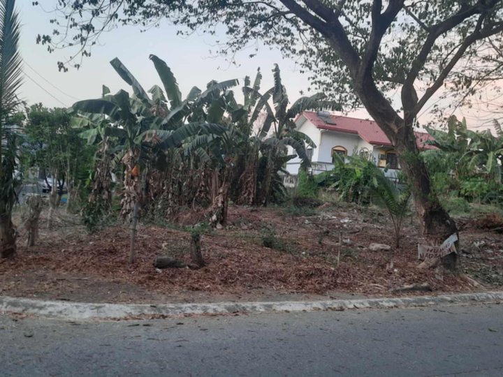 306 sqm Residential Lot For Sale