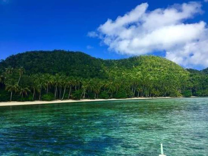 2.5 ha. Island Beach Property with coconut trees For Sale in Caub Del Carmen , Siargao island  Sur.
