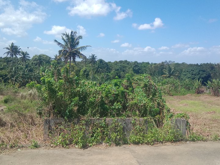 5300 sqm agri lot for sale