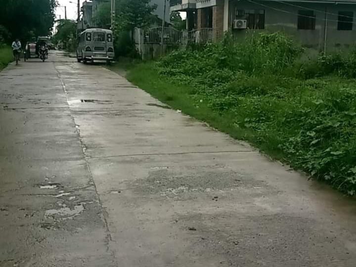 1,400 sqm Residential Lot For Sale in Cabanatuan Nueva Ecija