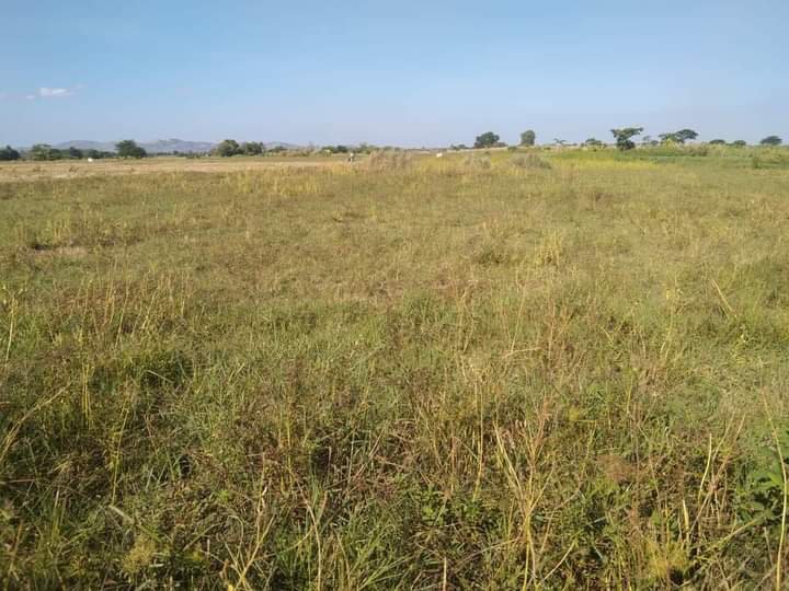 2.2 hectares Agricultural Farm For Sale in bongabon nueva ecija