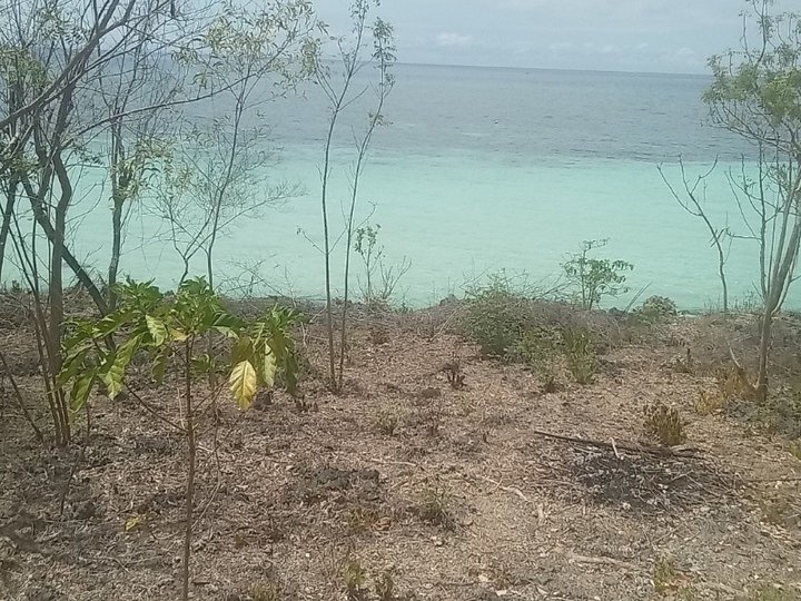 cliff beach lot facing the fish sanctuaryTu