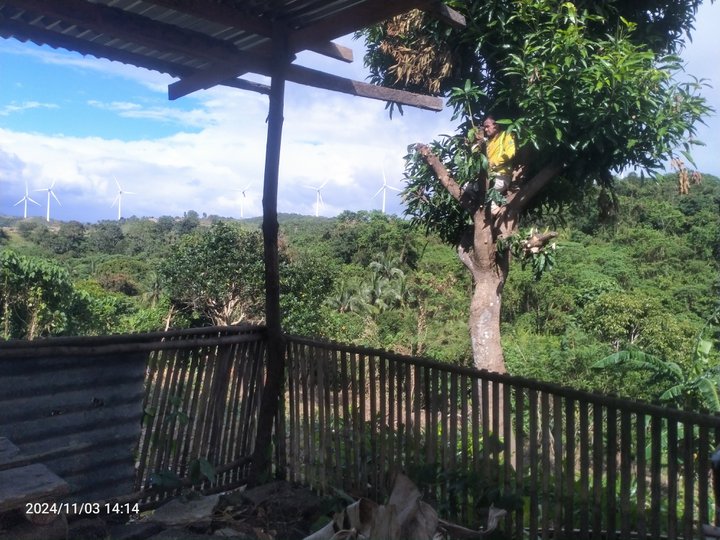 Commercial Property for sale in Pililla Rizal