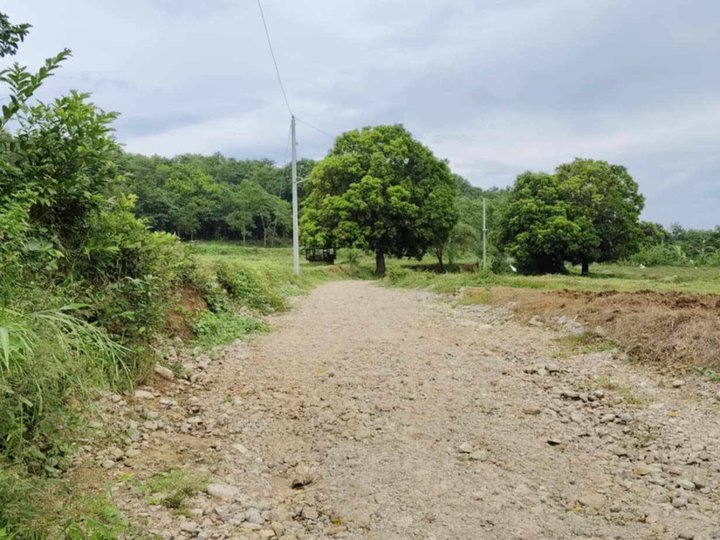 HULUGANG FARMLOT 12 MOS TO PAY ZERO INTEREST CEMENTED ROAD HANGGANG LOOB NG FARM