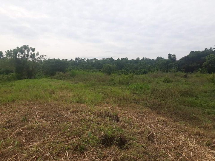 Mix Agri and Residential LOT FOR SALE